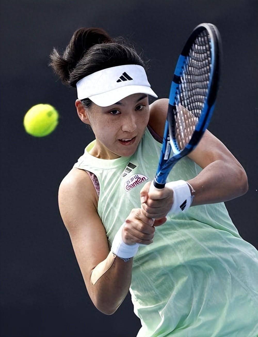 体宣布退役 体宣布退役